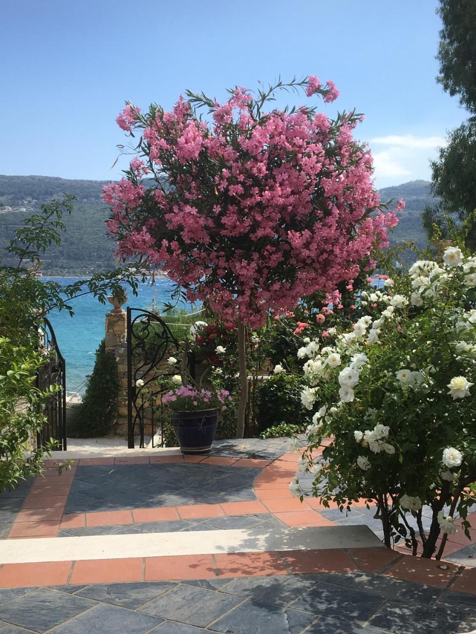Roditses Beach Sea Front Apartments Samos Town Exterior photo